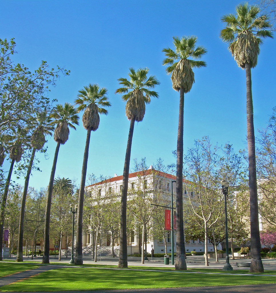 Image by David Sawyer - Palms and Courthouse St. James Park, San Jose, California. The St. James Square Historic